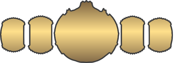 Extreme Heavyweight Title